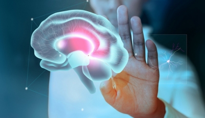 Protokol Hipnoterapi AWGI Divalidasi Temuan Modern Neurosains