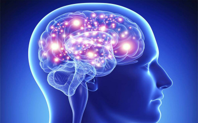 Menghancurkan Memori untuk Menyembuhkan Trauma?